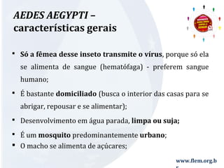 www.flem.org.b 
r 
AEDES AEGYPTI – 
características gerais 
 Só a fêmea desse inseto transmite o vírus, porque só ela 
se alimenta de sangue (hematófaga) - preferem sangue 
humano; 
 É bastante domiciliado (busca o interior das casas para se 
abrigar, repousar e se alimentar); 
 Desenvolvimento em água parada, limpa ou suja; 
 É um mosquito predominantemente urbano; 
 O macho se alimenta de açúcares; 
 