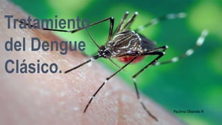 Tratamiento 
del Dengue 
Clásico. 
Paulina Obando R 
 