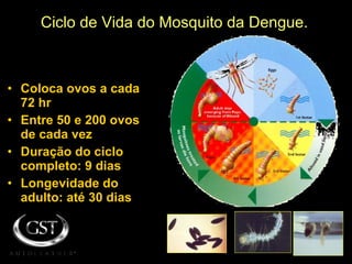 Ciclo de Vida do Mosquito da Dengue.
• Coloca ovos a cada
72 hr
• Entre 50 e 200 ovos
de cada vez
• Duração do ciclo
completo: 9 dias
• Longevidade do
adulto: até 30 dias
 