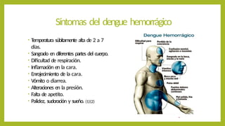 Síntomas del dengue hemorrágico
• T
emperatura súbitamente alta de 2 a 7
días.
• Sangrado en diferentes partes del cuerpo.
• Dificultad de respiración.
• Inflamación en la cara.
• Enrojecimiento de la cara.
• Vómito o diarrea.
• Alteraciones en la presión.
• Falta de apetito.
• Palidez, sudoración y sueño. (1)(2)
 