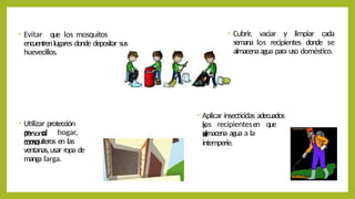 • Evitar que los mosquitos
encuentrenlugares donde depositar sus
huevecillos.
• Cubrir, vaciar y limpiar cada
semana los recipientes donde se
almacenaagua para uso doméstico.
• Utilizar protección
personal
en el hogar,
como
mosquiteros en las
ventanas,usar ropa de
manga larga.
• Aplicar insecticidas adecuados
a
los recipientesen que
se
almacena agua a la
intemperie.
 