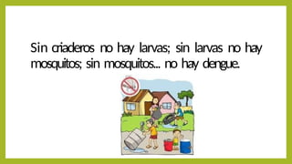 Sin criaderos no hay larvas; sin larvas no hay
mosquitos; sin mosquitos... no hay dengue.
 