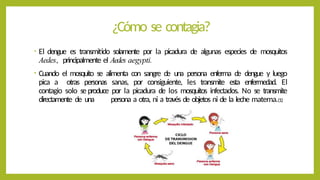 ¿Cómo se contagia?
• El dengue es transmitido solamente por la picadura de algunas especies de mosquitos
Aedes, principalmente el Aedes aegypti.
• Cuando el mosquito se alimenta con sangre de una persona enferma de dengue y luego
pica a otras personas sanas, por consiguiente, les transmite esta enfermedad. El
contagio solo se produce por la picadura de los mosquitos infectados. No se transmite
directamente de una persona a otra, ni a través de objetos ni de la leche materna.(1)
 