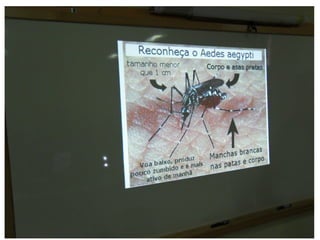 Palestra Sobre a Dengue