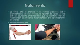 Tratamiento
 La fiebre alta, la anorexia y los vómitos producen sed y
deshidratación; en consecuencia, la ingestión de líquido vía oral
debe ser abundante, en la medida en que el paciente los tolere. Se
recomiendan las soluciones de rehidratación oral para reponer los
electrolitos.
 Prueba del torniquete:
 