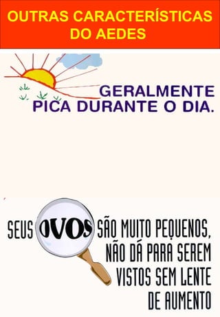 OUTRAS CARACTERÍSTICAS
DO AEDES
 