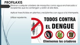 PROFILAXIS
Eliminar cualquier criadero de mosquitos como agua encharcada o
recipientes que la contengan y estén al aire libre.
Aplicar insecticidas en plantas y recipientes con agua a la intemperie.
Utilizar repelente.
 