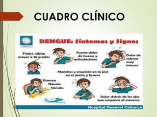 CUADRO CLÍNICO
 