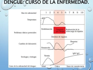 DENGUE: CURSO DE LA ENFERMEDAD.
 