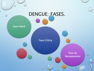 DENGUE: FASES.
Fase Critica
Fase Febril
Fase de
Recuperación
 