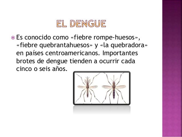 Dengue