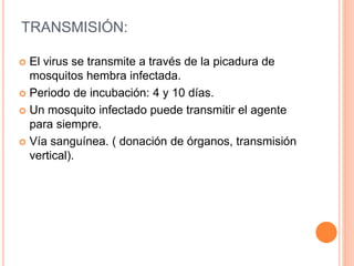 TRANSMISIÓN:
 El virus se transmite a través de la picadura de
mosquitos hembra infectada.
 Periodo de incubación: 4 y 10 días.
 Un mosquito infectado puede transmitir el agente
para siempre.
 Vía sanguínea. ( donación de órganos, transmisión
vertical).
 