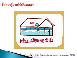 ที่มา : http://www.siamupdate.com/news-178548
 
