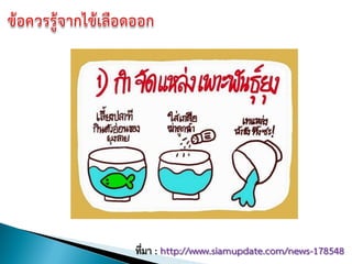 ที่มา : http://www.siamupdate.com/news-178548
 
