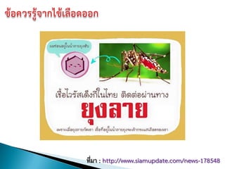 ที่มา : http://www.siamupdate.com/news-178548
 