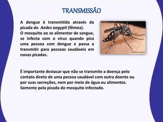 A dengue é transmitida através da
picada do Aedes aegypti (fêmea).
O mosquito ao se alimentar de sangue,
se infecta com o vírus quando pica
uma pessoa com dengue e passa a
transmitir para pessoas saudáveis em
novas picadas.
É importante destacar que não se transmite a doença pelo
contato direto de uma pessoa saudável com outra doente ou
por suas secreções, nem por meio de água ou alimentos.
Somente pela picada do mosquito infectado.
 