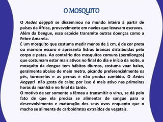 O Aedes aegypti se disseminou no mundo inteiro à partir de
países da África, provavelmente em navios que levavam escravos.
Além da Dengue, essa espécie transmite outras doenças como a
Febre Amarela.
É um mosquito que costuma medir menos de 1 cm, é de cor preta
ou marrom escuro e apresenta listras brancas distribuídas pelo
corpo e patas. Ao contrário dos mosquitos comuns (pernilongos)
que costumam estar mais ativos no final do dia e início da noite, o
mosquito da dengue tem hábitos diurnos, costuma voar baixo,
geralmente abaixo de meio metro, picando preferencialmente os
pés, tornozelos e as pernas e não produz zumbido. O Aedes
Aegypti não gosta de calor, por isso é mais ativo nas primeiras
horas da manhã e no final da tarde.
O motivo de ser somente a fêmea a transmitir o vírus, se dá pelo
fato de que ela precisa se alimentar de sangue para o
desenvolvimento e maturação dos seus ovos enquanto que o
macho se alimenta de carboidratos extraídos de vegetais.
 
