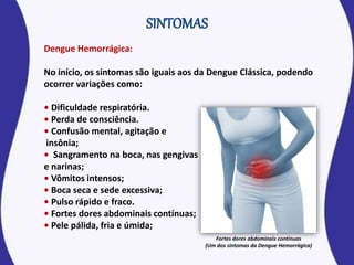 Dengue Hemorrágica:
No início, os sintomas são iguais aos da Dengue Clássica, podendo
ocorrer variações como:
• Dificuldade respiratória.
• Perda de consciência.
• Confusão mental, agitação e
insônia;
• Sangramento na boca, nas gengivas
e narinas;
• Vômitos intensos;
• Boca seca e sede excessiva;
• Pulso rápido e fraco.
• Fortes dores abdominais contínuas;
• Pele pálida, fria e úmida;
Fortes dores abdominais contínuas
(Um dos sintomas da Dengue Hemorrágica)
 