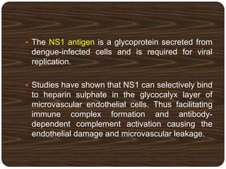  The NS1 antigen is a glycoprotein secreted from
dengue-infected cells and is required for viral
replication.
 Studies have shown that NS1 can selectively bind
to heparin sulphate in the glycocalyx layer of
microvascular endothelial cells. Thus facilitating
immune complex formation and antibody-
dependent complement activation causing the
endothelial damage and microvascular leakage.
 