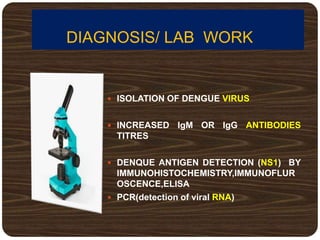 DIAGNOSIS/ LAB WORK
 ISOLATION OF DENGUE VIRUS
 INCREASED IgM OR IgG ANTIBODIES
TITRES
 DENQUE ANTIGEN DETECTION (NS1) BY
IMMUNOHISTOCHEMISTRY,IMMUNOFLUR
OSCENCE,ELISA
 PCR(detection of viral RNA)
 