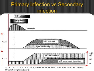 Primary infection vs Secondary
infection
 