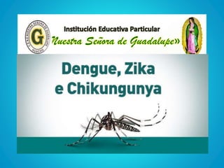 Dengue , chinkunguya,
zica
 