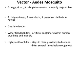 Vector - Aedes Mosquito
• A. aegypticus , A. albopictus- most commonly responsible
• A. polynesiensis, A.scutellaris, A. pseudoscutellaris, A.
nevius
• Day time feeder
• Water filled habitats, artificial containers within human
dwellings and indoors
• Highly anthrophillic - stays in close proximity to humans
- bites several times before oogenesis
 