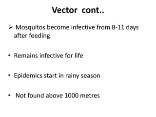 Vector cont..
 Mosquitos become infective from 8-11 days
after feeding
• Remains infective for life
• Epidemics start in rainy season
• Not found above 1000 metres
 