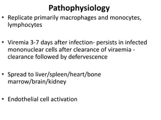 Pathophysiology
• Replicate primarily macrophages and monocytes,
lymphocytes
• Viremia 3-7 days after infection- persists in infected
mononuclear cells after clearance of viraemia -
clearance followed by defervescence
• Spread to liver/spleen/heart/bone
marrow/brain/kidney
• Endothelial cell activation
 