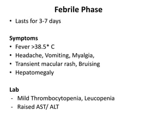 Febrile Phase
• Lasts for 3-7 days
Symptoms
• Fever >38.5* C
• Headache, Vomiting, Myalgia,
• Transient macular rash, Bruising
• Hepatomegaly
Lab
- Mild Thrombocytopenia, Leucopenia
- Raised AST/ ALT
 
