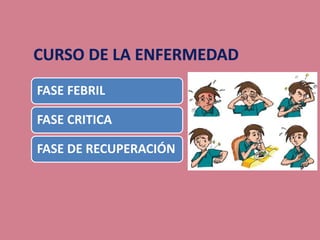 FASE FEBRIL
FASE CRITICA
FASE DE RECUPERACIÓN
 