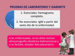 1. Esenciales: hemograma
completo.
2. No esenciales: IgM a partir del
sexto día de la enfermedad.
A las embarazadas, se les debe realizar:
ultrasonografía obstétrica bidimensional y
si es factible, doopler feto-placentario.
 