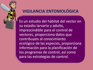 Es un estudio del hábitat del vector en
su estadio larvario y adulto,
imprescindible para el control de
vectores, proporciona datos que
contribuyen al conocimiento
ecológico de las especies, proporciona
información para la planificación de
los programas de control, así como
para las estrategias de control.
 