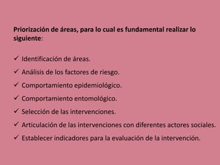 Priorización de áreas, para lo cual es fundamental realizar lo
siguiente:
 Identificación de áreas.
 Análisis de los factores de riesgo.
 Comportamiento epidemiológico.
 Comportamiento entomológico.
 Selección de las intervenciones.
 Articulación de las intervenciones con diferentes actores sociales.
 Establecer indicadores para la evaluación de la intervención.
 