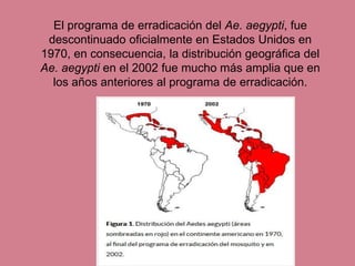 El programa de erradicación del Ae. aegypti, fue
descontinuado oficialmente en Estados Unidos en
1970, en consecuencia, la distribución geográfica del
Ae. aegypti en el 2002 fue mucho más amplia que en
los años anteriores al programa de erradicación.
 