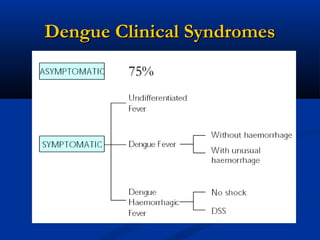 Dengue Clinical SyndromesDengue Clinical Syndromes
75%75%
 