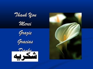 Thank YouThank You
MerciMerci
GrazieGrazie
GraciasGracias
DankeDanke
 
