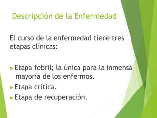 Descripción de la Enfermedad
El curso de la enfermedad tiene tres
etapas clínicas:
▶Etapa febril; la única para la inmensa
mayoría de los enfermos.
▶Etapa crítica.
▶Etapa de recuperación.
 