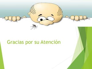 Gracias por su Atención
 