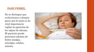 FASE FEBRIL
No se distingue que
evolucionara a dengue
grave por lo tanto es de
vital importancia
vigilar la aparición de
los signos de alarma.
El paciente puede
presentar además de
fiebre mialgia,
artralgia, cefalea,
astenia.
 