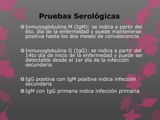Pruebas Serológicas
Inmunoglobulina M (IgM): se indica a partir del
6to. día de la enfermedad y puede mantenerse
positiva hasta los dos meses de convalecencia
Inmunoglobulina G (IgG): se indica a partir del
14to día de inicio de la enfermedad y puede ser
detectable desde el 1er día de la infección
secundaria
IgG positiva con IgM positiva indica infección
secundaria
IgM con IgG primaria indica infección primaria
 