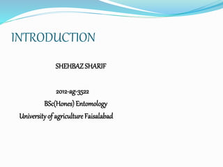 INTRODUCTION
SHEHBAZ SHARIF
2012-ag-3522
BSc(Hones) Entomology
University of agriculture Faisalabad
 