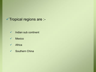 Tropical regions are :-
 Indian sub continent
 Mexico
 Africa
 Southern China
 