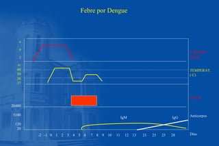 -2 -1 0 1 2 3 4 5 6 7 8 9 10 11 12 13 21 23 25 28
6
4
2
41
40
39
38
37
20480
5100
120
20
VIREMIA
log/ml
TEMPERAT.
( C)
Choque
Anticorpos
Días
IgM IgG
Febre por Dengue
 