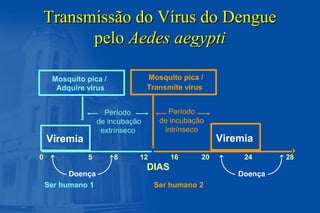 Transmissão do Vírus do DengueTransmissão do Vírus do Dengue
pelopelo Aedes aegyptiAedes aegypti
Viremia Viremia
Período
de incubação
extrínseco
DIAS
0 5 8 12 16 20 24 28
Ser humano 1 Ser humano 2
Mosquito pica /
Adquire vírus
Mosquito pica /
Transmite vírus
Período
de incubação
intrínseco
Doença Doença
 