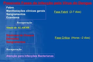 Possíveis Fases da infecção pelo Vírus do Dengue
Febre
Manifestações clínicas gerais
Sangramentos
Exantema
Fase Febril (2-7 dias)
Sinais de ALARME
Sindrome de Choque
Derrames
Sangramentos
Recuperação
Atenção para Infecções Bacterianas
Fase Crítica (Horas –2 dias)
Recuperação
 