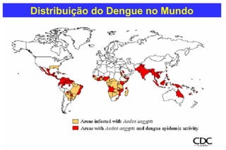 Distribuição do Dengue no Mundo
 