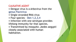 CAUSATIVE AGENT
Dengue virus is a Arbovirus from the
genus Flavivirus
Single stranded RNA virus
Four species – Den 1,2,3,4
Infection with one serotype provides
lifelong immunity for that species.
Transmitted by mosquito ,Aedes aegypti
closely associated with human
habitation.
3
 