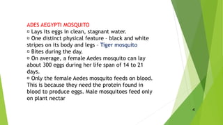 ADES AEGYPTI MOSQUITO
Lays its eggs in clean, stagnant water.
One distinct physical feature – black and white
stripes on its body and legs – Tiger mosquito
Bites during the day.
On average, a female Aedes mosquito can lay
about 300 eggs during her life span of 14 to 21
days.
Only the female Aedes mosquito feeds on blood.
This is because they need the protein found in
blood to produce eggs. Male mosquitoes feed only
on plant nectar
4
 