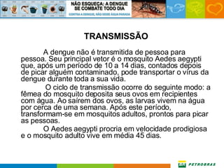 TRANSMISSÃO A dengue não é transmitida de pessoa para pessoa. Seu principal vetor é o mosquito Aedes aegypti que, após um período de 10 a 14 dias, contados depois de picar alguém contaminado, pode transportar o vírus da dengue durante toda a sua vida.   O ciclo de transmissão ocorre do seguinte modo: a fêmea do mosquito deposita seus ovos em recipientes com água. Ao saírem dos ovos, as larvas vivem na água por cerca de uma semana. Após este período, transformam-se em mosquitos adultos, prontos para picar as pessoas.  O Aedes aegypti procria em velocidade prodigiosa e o mosquito adulto vive em média 45 dias.  